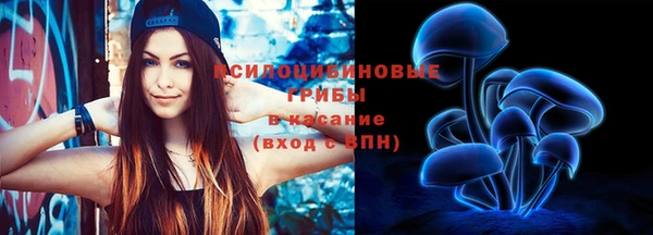 скорость Алзамай