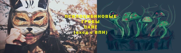 скорость Алзамай