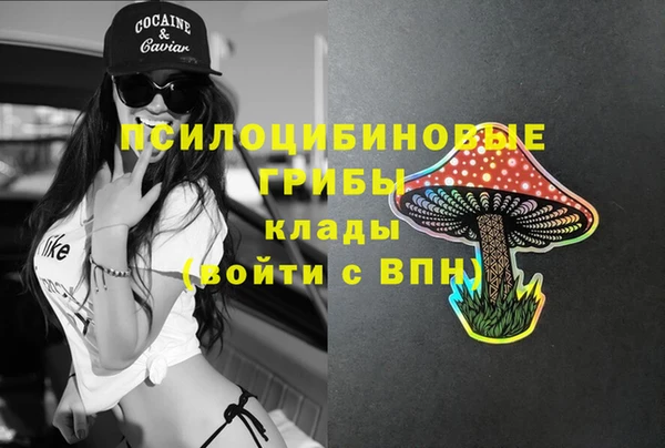 скорость Алзамай